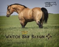 Watch Bar Baron